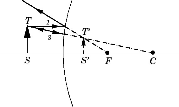 Study guide illustration