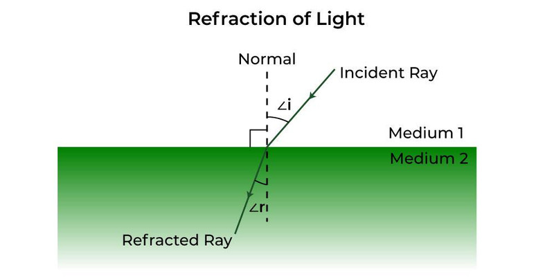 Study guide illustration