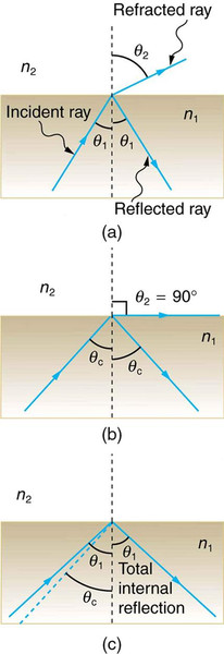 Study guide illustration