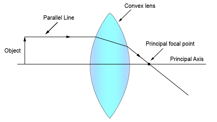 Study guide illustration