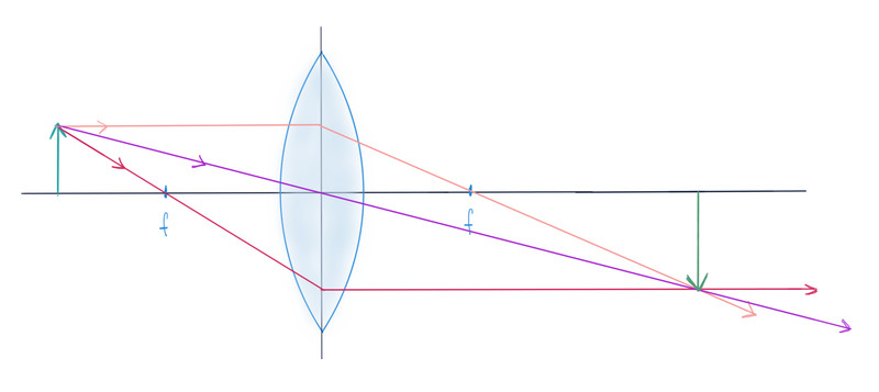 Study guide illustration