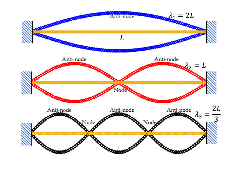 Study guide illustration