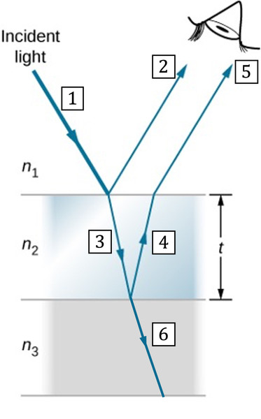 Study guide illustration