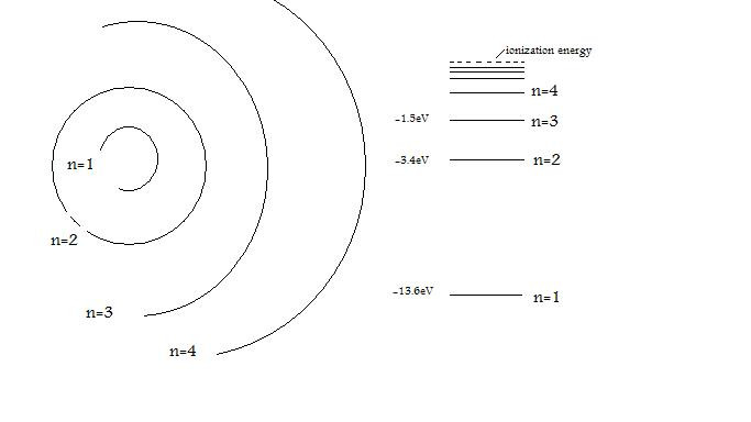 Study guide illustration