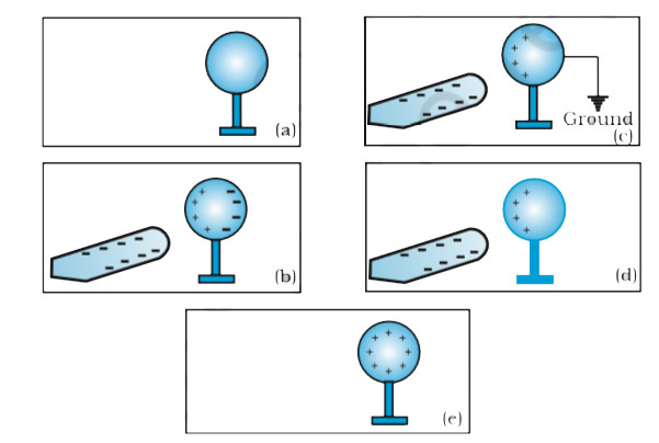 Study guide illustration