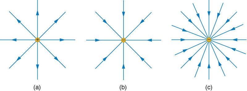 Study guide illustration