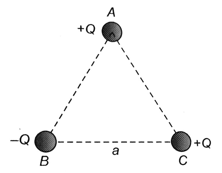 Study guide illustration