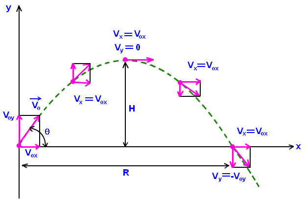 Study guide illustration