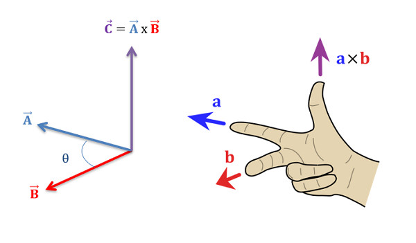 Study guide illustration