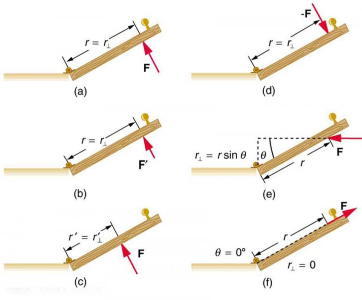 Study guide illustration