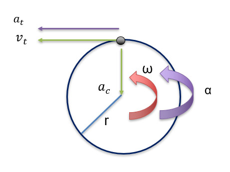 Study guide illustration