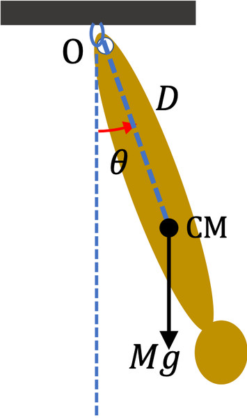 Study guide illustration