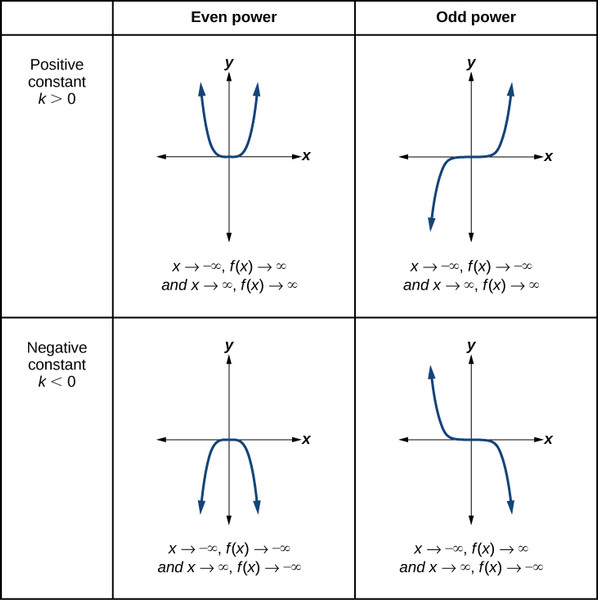 Study guide illustration