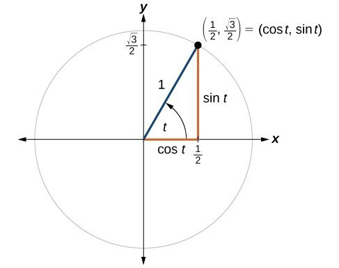 Study guide illustration