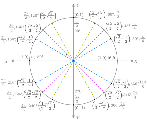 Study guide illustration