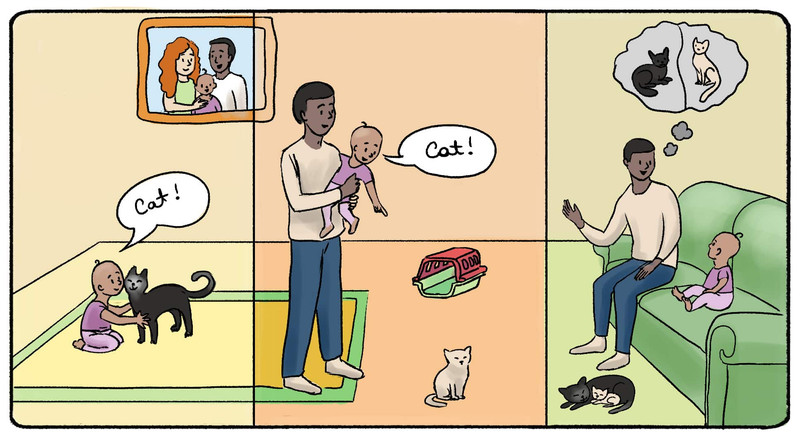 Study guide illustration