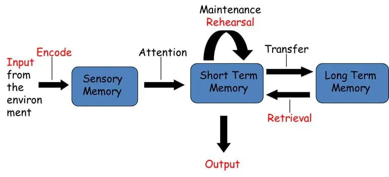 Study guide illustration