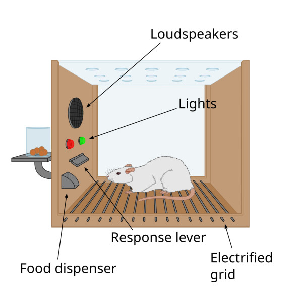 Study guide illustration