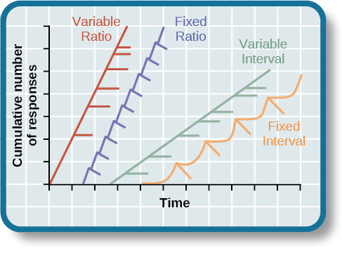 Study guide illustration