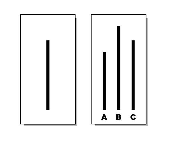 Study guide illustration
