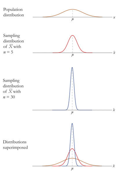 Study guide illustration